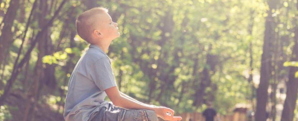 The Untold Story of Vitamin D The Untold Story of Vitamin D